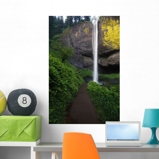 Lush Foliage Along Path To Latourell Falls Wall Mural