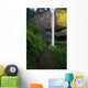 Lush Foliage Along Path To Latourell Falls Wall Mural