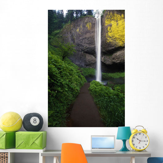 Lush Foliage Along Path To Latourell Falls Wall Mural