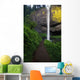 Lush Foliage Along Path To Latourell Falls Wall Mural
