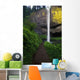 Lush Foliage Along Path To Latourell Falls Wall Mural