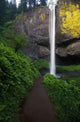 Lush Foliage Along Path To Latourell Falls Wall Mural