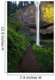 Lush Foliage Along Path To Latourell Falls Wall Mural