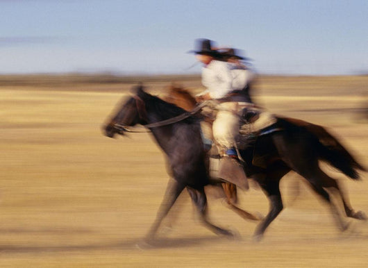 Cowboys Racing Horses Wall Mural