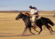 Cowboys Racing Horses Wall Mural