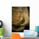 White Rose Wall Mural