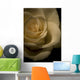 White Rose Wall Mural