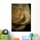 White Rose Wall Mural
