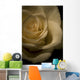 White Rose Wall Mural