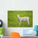Lamb Wall Mural