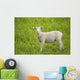 Lamb Wall Mural