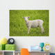Lamb Wall Mural