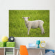 Lamb Wall Mural