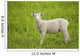 Lamb Wall Mural