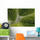 Leaves On Water Wall Mural