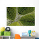 Leaves On Water Wall Mural