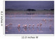 Pink Flamingos Drinking Water Wall Mural