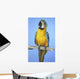 Blue-And-Gold Macaw Wall Mural