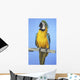Blue-And-Gold Macaw Wall Mural