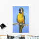 Blue-And-Gold Macaw Wall Mural