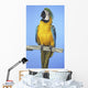 Blue-And-Gold Macaw Wall Mural