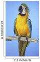 Blue-And-Gold Macaw Wall Mural