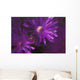 Ice Plant Blossoms Under Ice Wall Mural