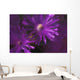 Ice Plant Blossoms Under Ice Wall Mural