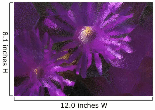 Ice Plant Blossoms Under Ice Wall Mural