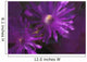 Ice Plant Blossoms Under Ice Wall Mural