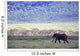 Elephant In The Wild Wall Mural