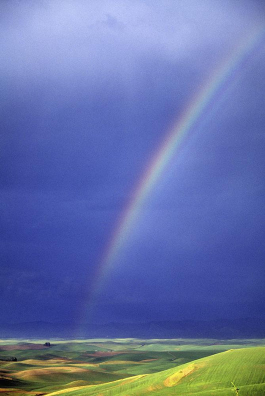 Rainbow Over Rolling Hills Wall Mural