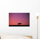 Lone Tree Backlit By Afterglow Wall Mural