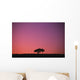 Lone Tree Backlit By Afterglow Wall Mural