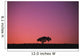 Lone Tree Backlit By Afterglow Wall Mural
