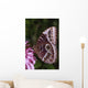 Blue Morpho Butterfly On Flower Wall Mural