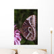 Blue Morpho Butterfly On Flower Wall Mural