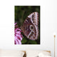 Blue Morpho Butterfly On Flower Wall Mural