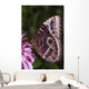 Blue Morpho Butterfly On Flower Wall Mural