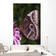 Blue Morpho Butterfly On Flower Wall Mural