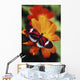 Butterfly On Flower Wall Mural