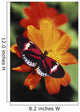 Butterfly On Flower Wall Mural