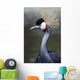 Crowned Crane Wall Mural