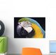 Parrot Wall Mural
