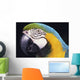 Parrot Wall Mural
