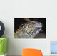Green Iguana Wall Mural