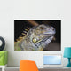 Green Iguana Wall Mural