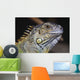 Green Iguana Wall Mural