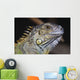 Green Iguana Wall Mural