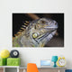 Green Iguana Wall Mural